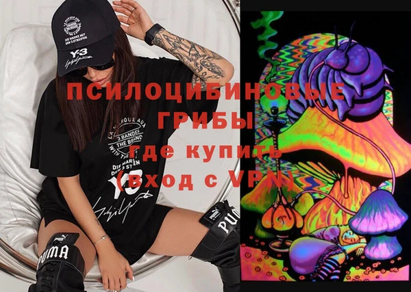сатива Ступино